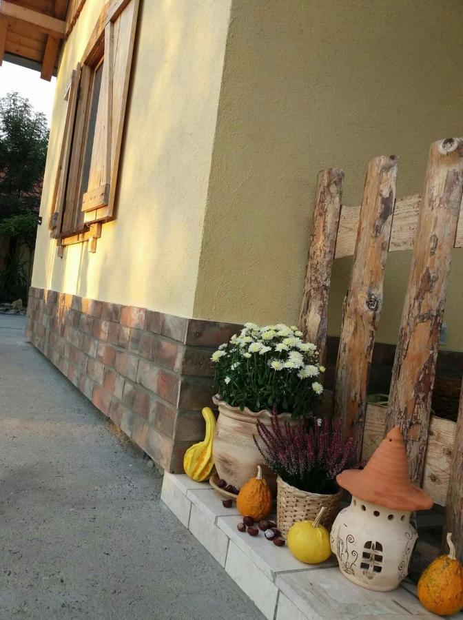 Rita Apartman & Studio Nagybecskerek Kültér fotó