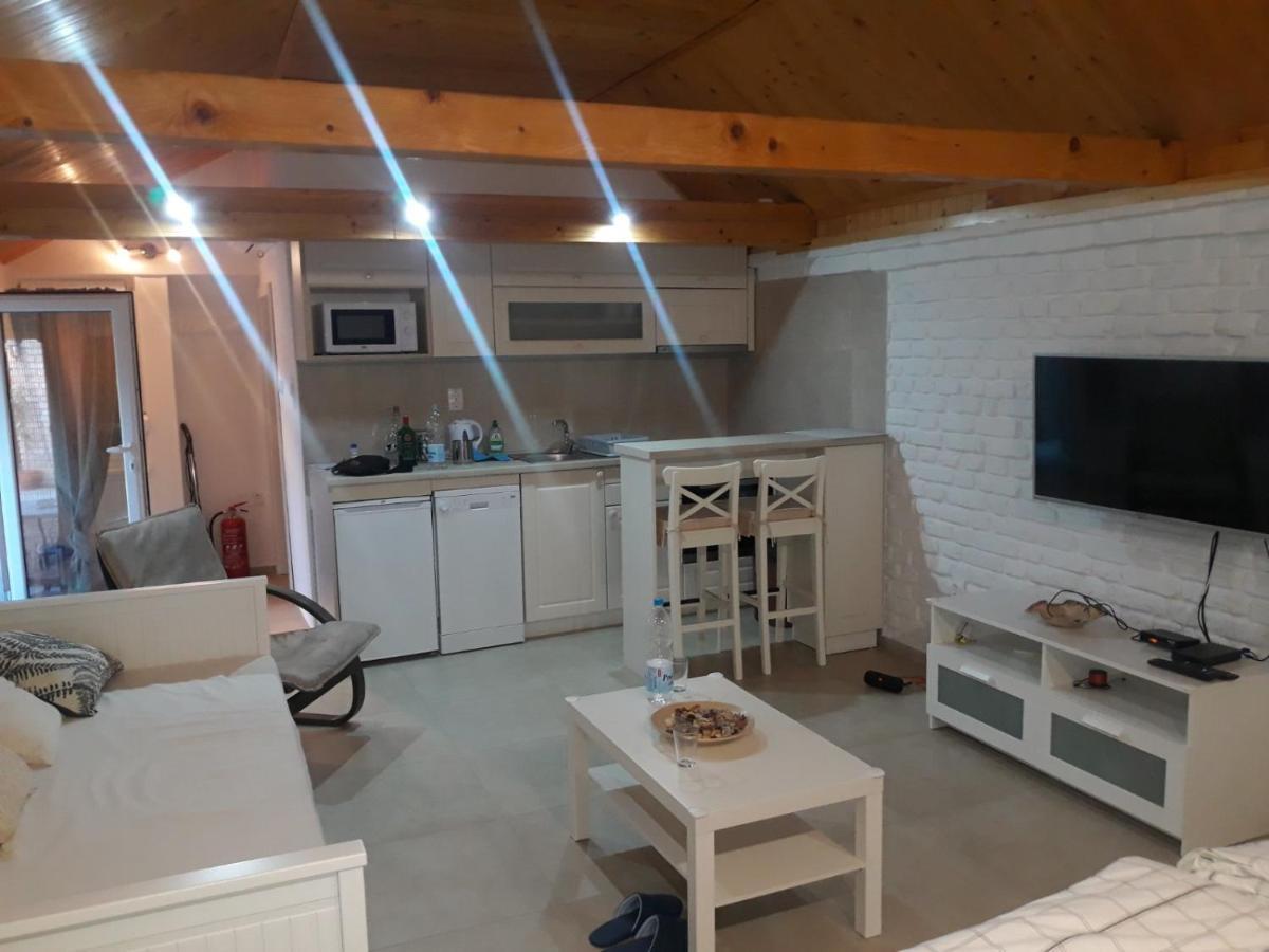 Rita Apartman & Studio Nagybecskerek Kültér fotó