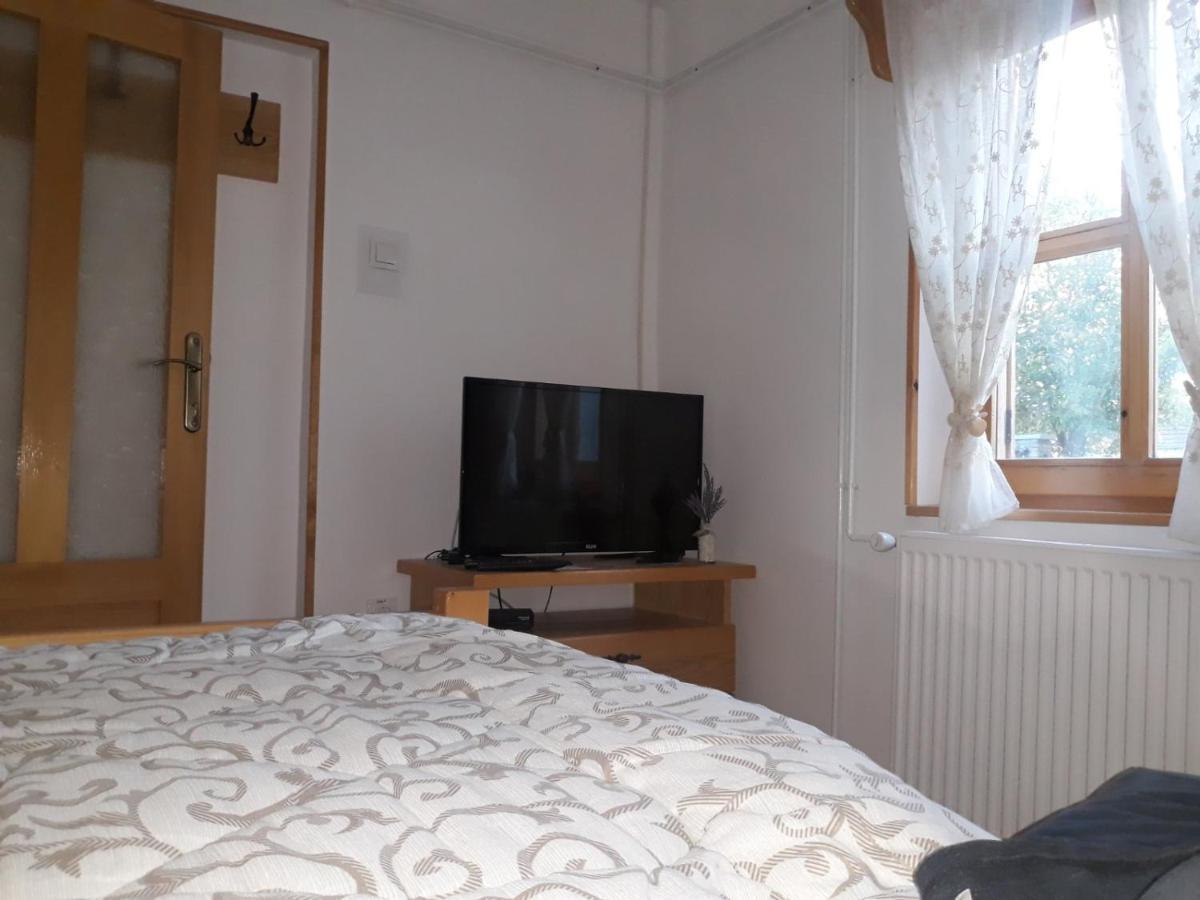 Rita Apartman & Studio Nagybecskerek Kültér fotó