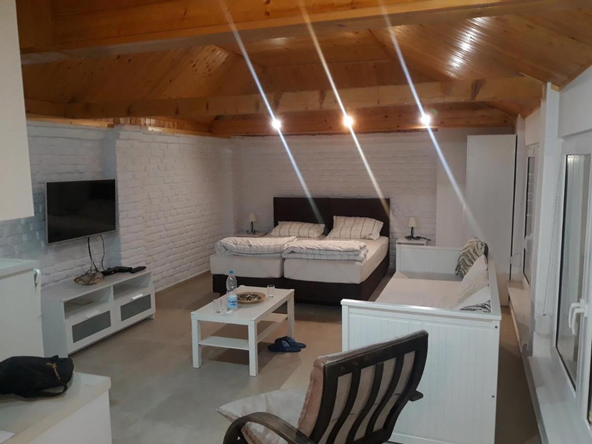 Rita Apartman & Studio Nagybecskerek Kültér fotó