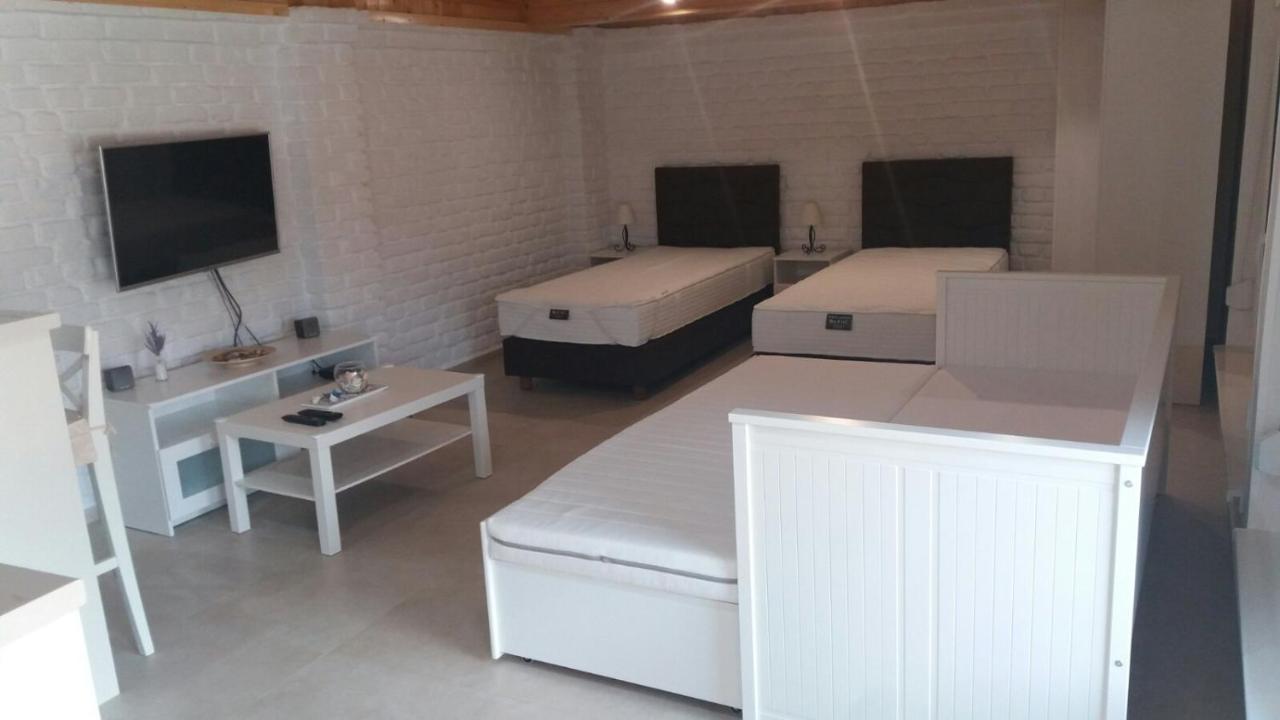 Rita Apartman & Studio Nagybecskerek Kültér fotó