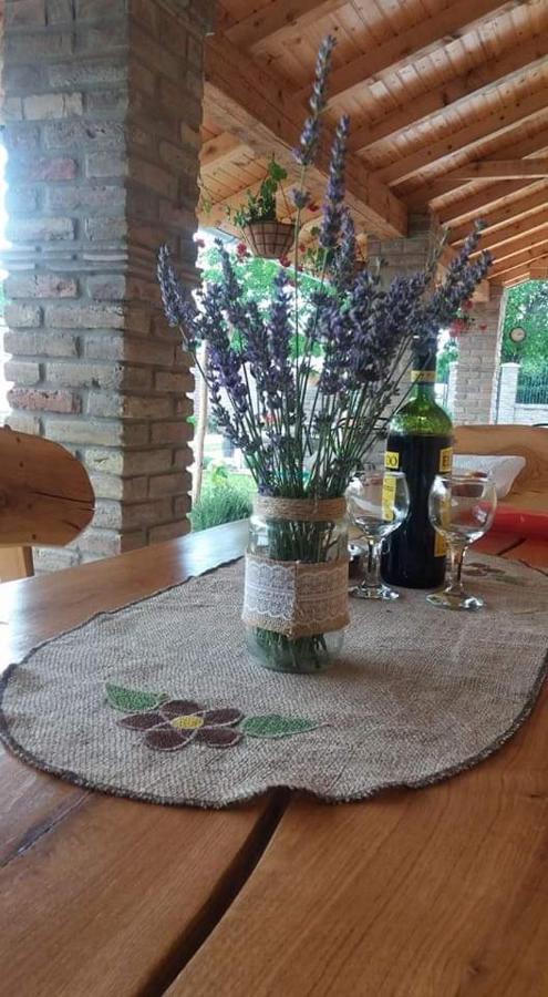 Rita Apartman & Studio Nagybecskerek Kültér fotó