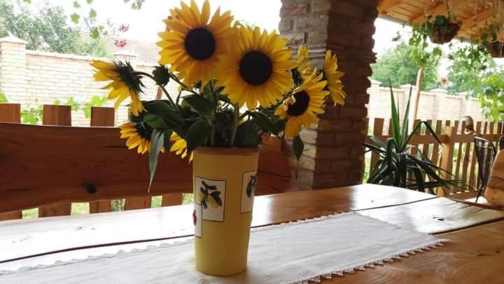 Rita Apartman & Studio Nagybecskerek Kültér fotó